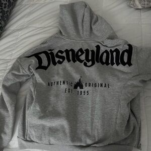 Disneyland Spirit Jersey Gray Zip-Up Hoodie XS